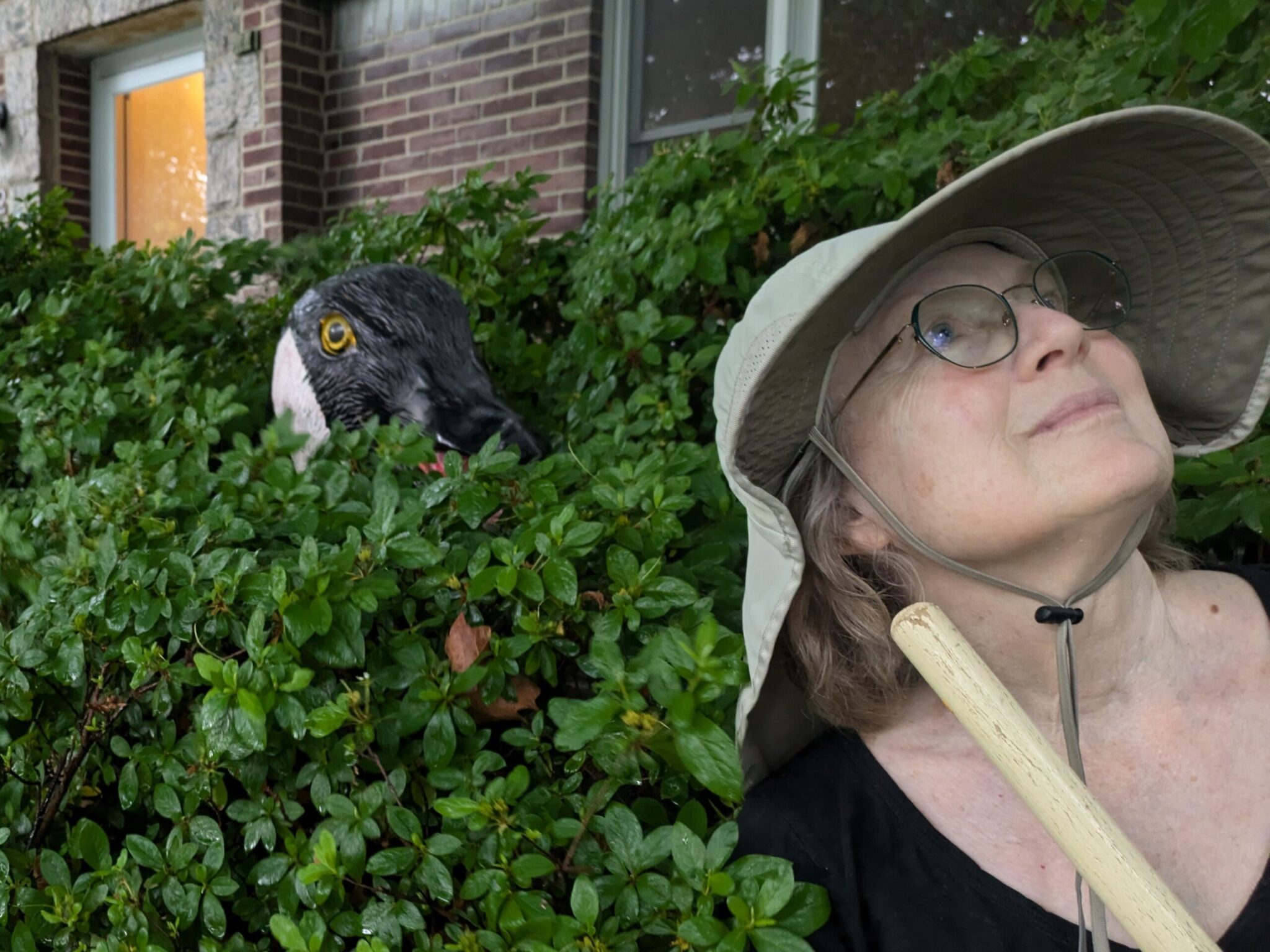 2025 Saskatoon Fringe Reviews, Part 2: Geese, potatoes and violent crime