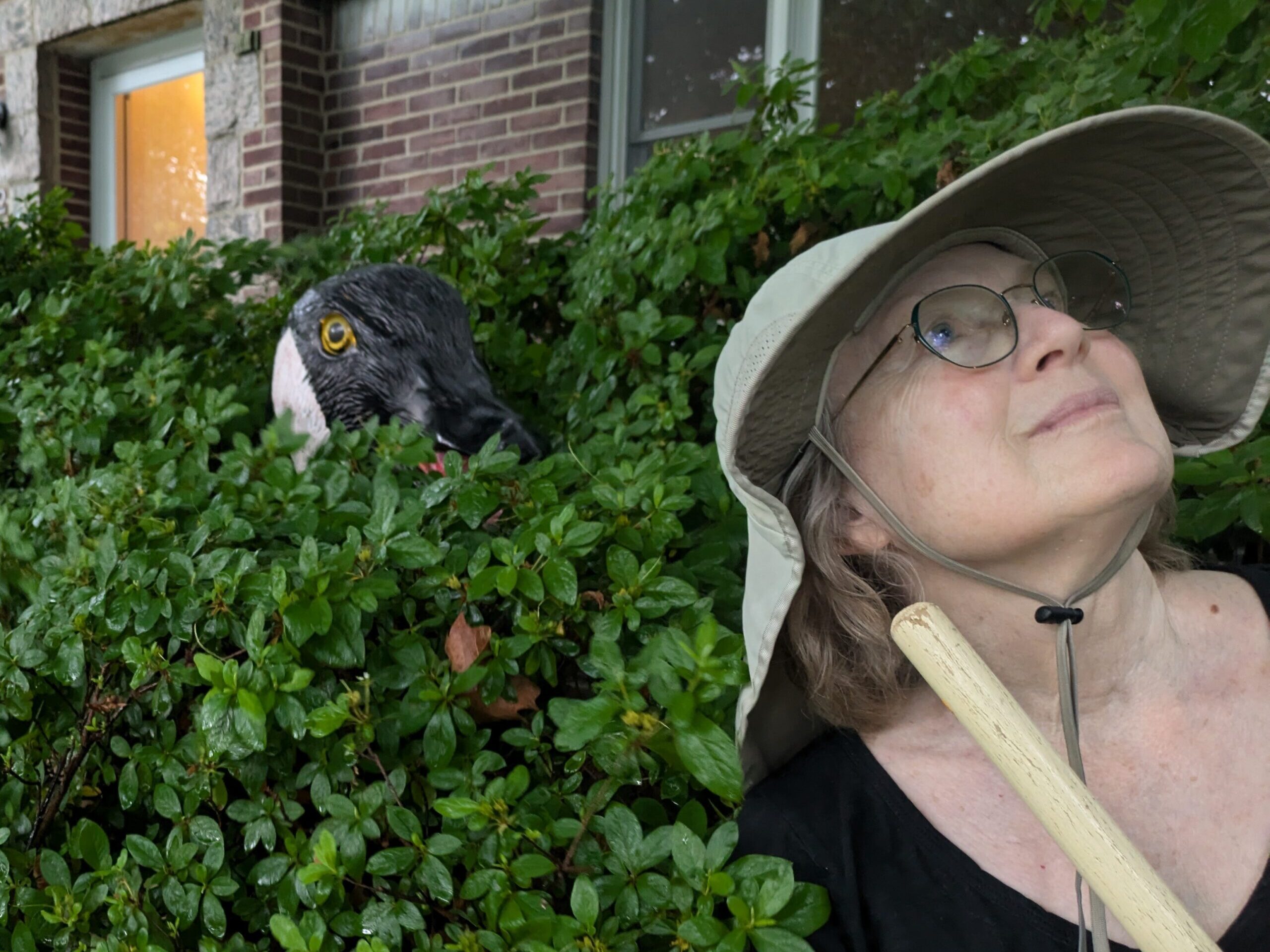 2025 Saskatoon Fringe Reviews, Part 2: Geese, potatoes and violent crime
